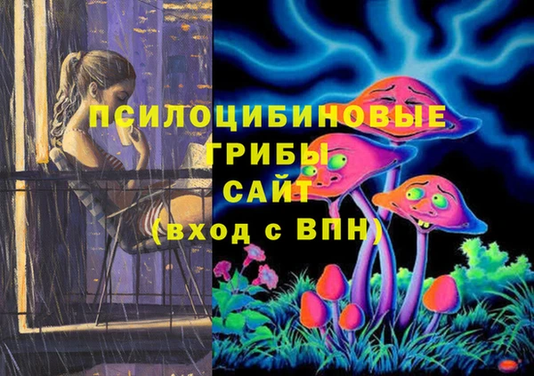 крисы Нефтегорск