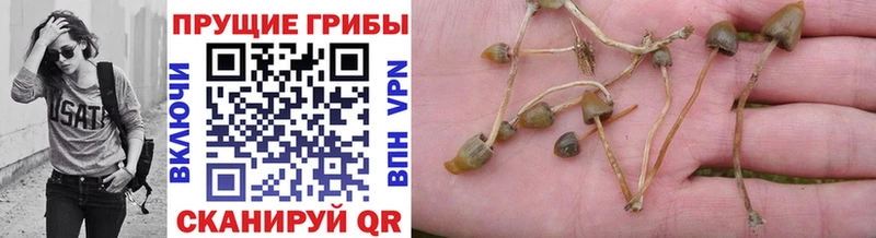 Купить закладки  Нарьян-Мар  Псилоцибиновые грибы мухоморы 